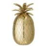 Bloomingville Ijsemmer Ananas Goud Ø13xH24 Cm