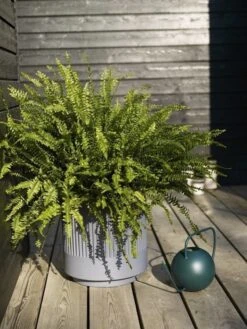 Hubsch Bloempot Set Donkergrijs -Bloomingville Verkoopwinkel hubsch bloempot set donkergrijs 2