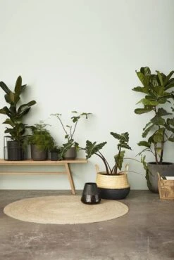 Hubsch Houten Bank -Bloomingville Verkoopwinkel hubsch houten bank 2