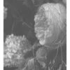 KEK Amsterdam Black & White Flowers Behang