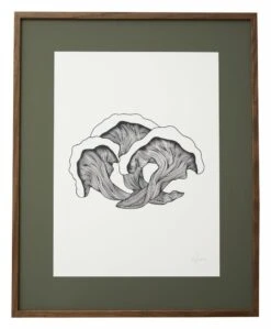 Nordal Fungi Illustration - Donker Eiken